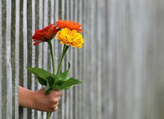 Jak postawić ogrodzenie względem granicy działki?